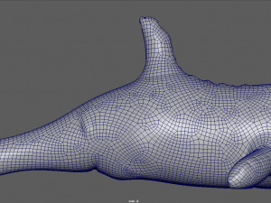 orca float 3D Модель