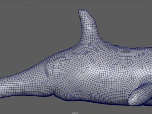 pływająca orka Model 3D