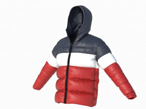 winter jaket 3D Model