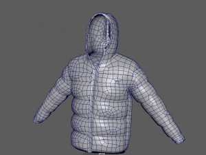 winter jaket 3D Model