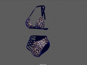 bikini Modelo 3D