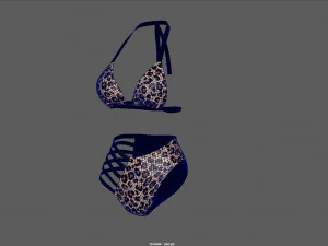 bikini 3D Model