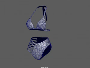bikini 3D Model
