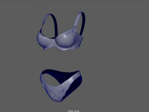 bikini 2 3D Model