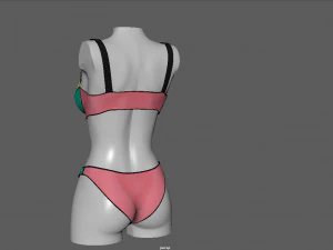 bikini 2 3D Model