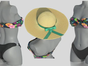 bikini 3 and hat gift 3D Model