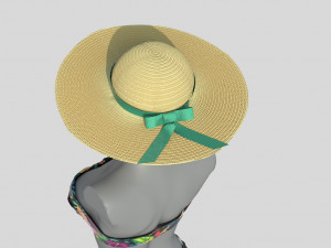 bikini 3 and hat gift Modelo 3D