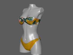 bikini 3 and hat gift Modelo 3D
