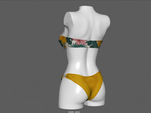 bikini 3 and hat gift Modelo 3D