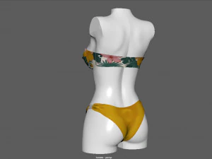 bikini 3 and hat gift 3D Model