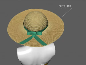 bikini 3 and hat gift 3D Model