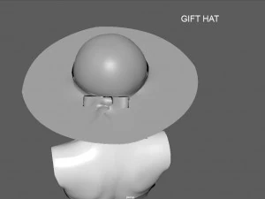 bikini 3 and hat gift 3D Model