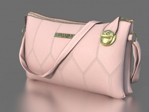 woman bag 2 3D Model