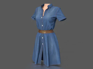 shirt dress 3D Model