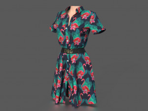 shirt dress Model 3D