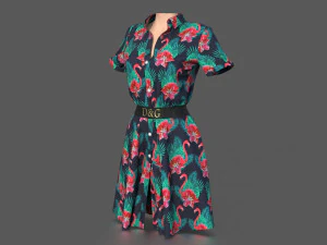 shirt dress 3D Model