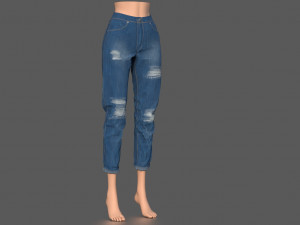 jeans pack 3D मॉडल