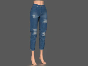 pacote de jeans Modelo 3D