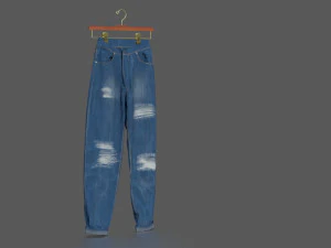 pacote de jeans Modelo 3D