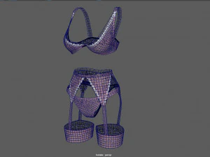 lingerie pack 3D Model