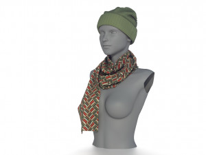 hat and scarf 3D Model
