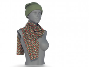 hat and scarf 3D Model