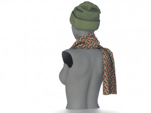hat and scarf 3D Model