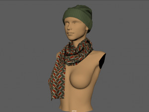 hat and scarf 3D Model