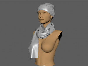 hat and scarf 3D Model