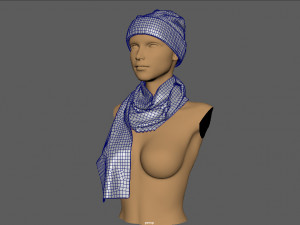 hat and scarf 3D Model