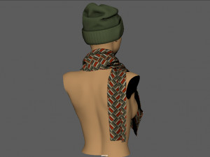 hat and scarf 3D Model
