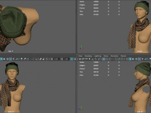 hat and scarf 3D Model