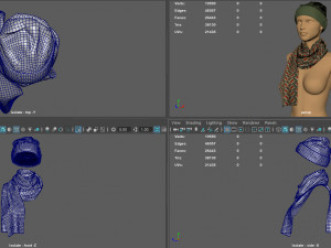 hat and scarf 3D Model