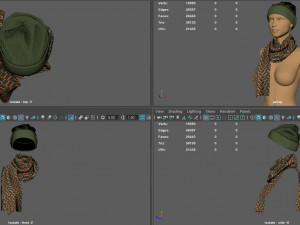 hat and scarf 3D Model