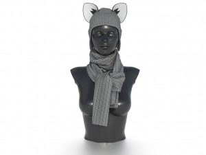 hat with scarf Modèle 3D
