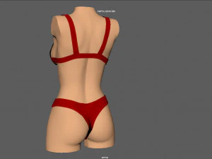水着 3Dモデル