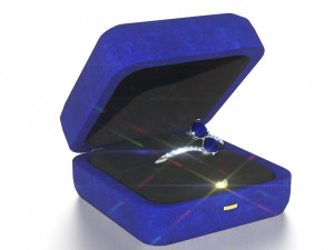 request ring 3D Model