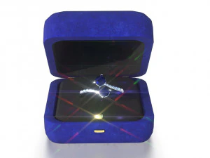 request ring 3D Model