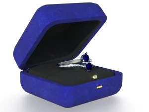 request ring 3D Model