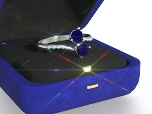 request ring 3D Model