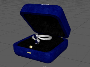 request ring 3D Model