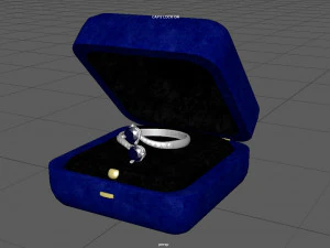 request ring 3D Model