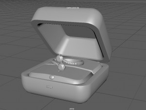 request ring 3D Model