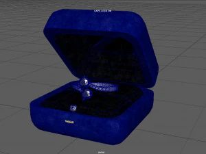 request ring 3D Model