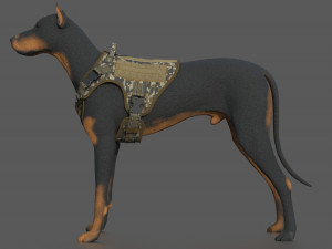 TACTICAL VEST FOR DOG Modello 3D