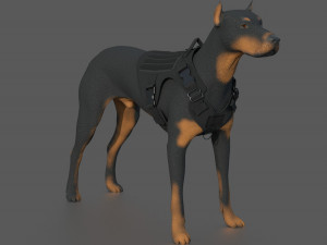 TACTICAL VEST FOR DOG Modello 3D