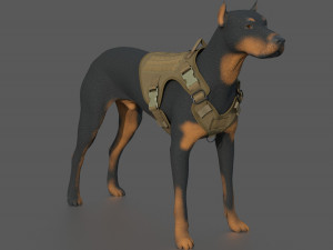 TACTICAL VEST FOR DOG Modello 3D