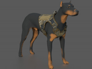 TACTICAL VEST FOR DOG Modello 3D
