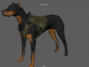 TACTICAL VEST FOR DOG Modello 3D