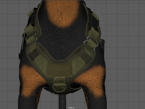 TACTICAL VEST FOR DOG Modello 3D
